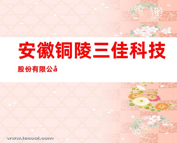 安徽铜陵三佳科技股份有限公司环保设备厂